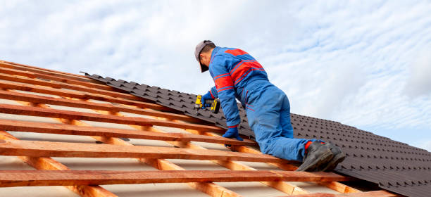 Best Gutter Installation and Repair  in Tower Lakes, IL